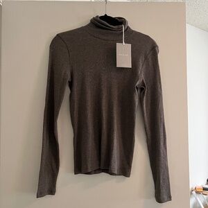 Everlane The Luxe Rib Turtleneck